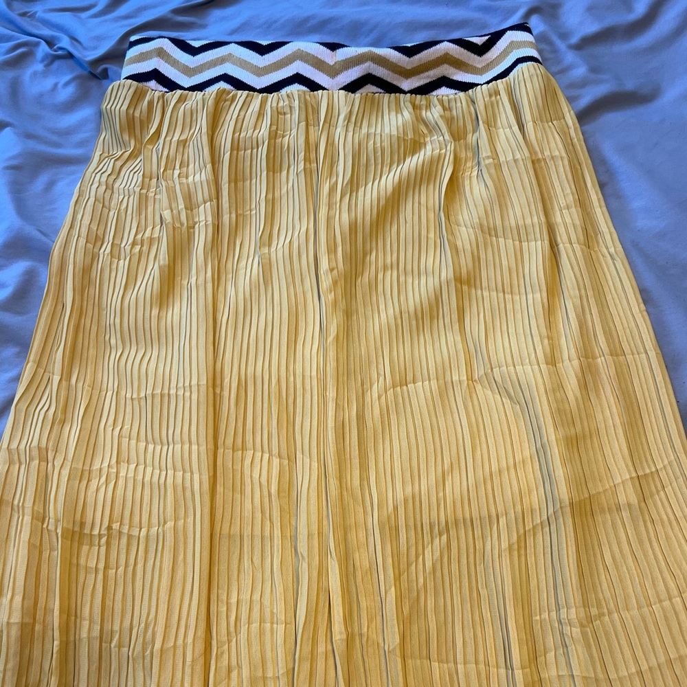 Anthropologie Philosophy Skirt!